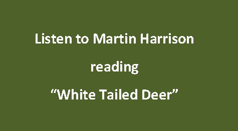 Listen to Martin Harrison