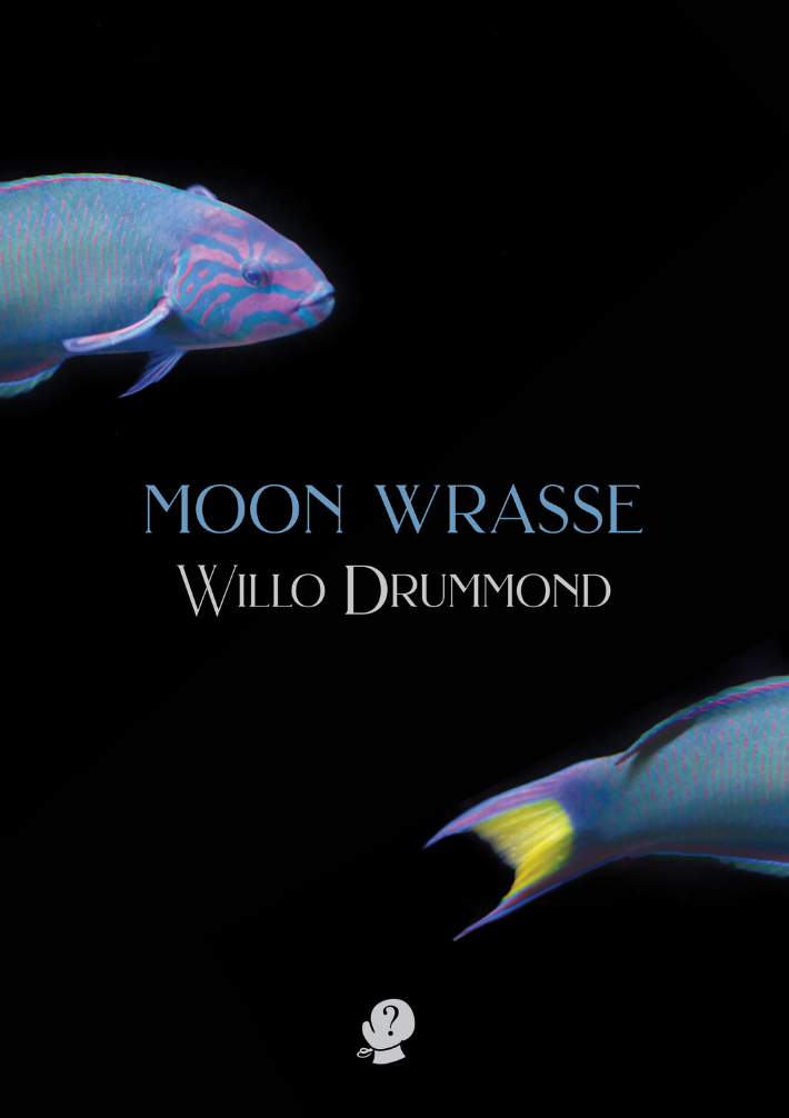 Moon Wrasse cover