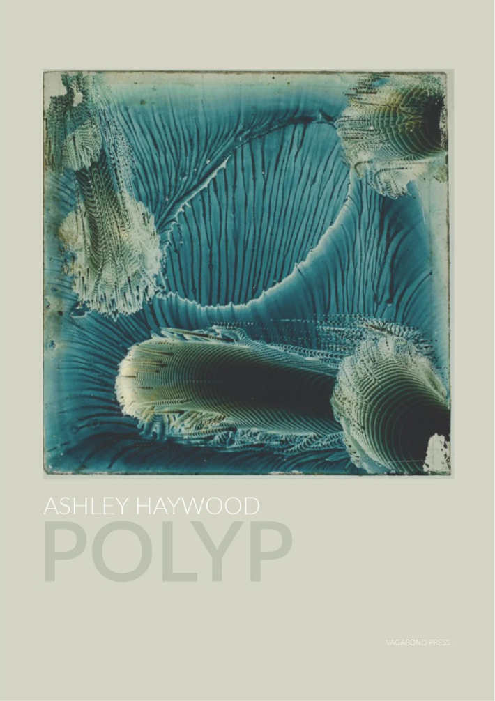 Polyp cover